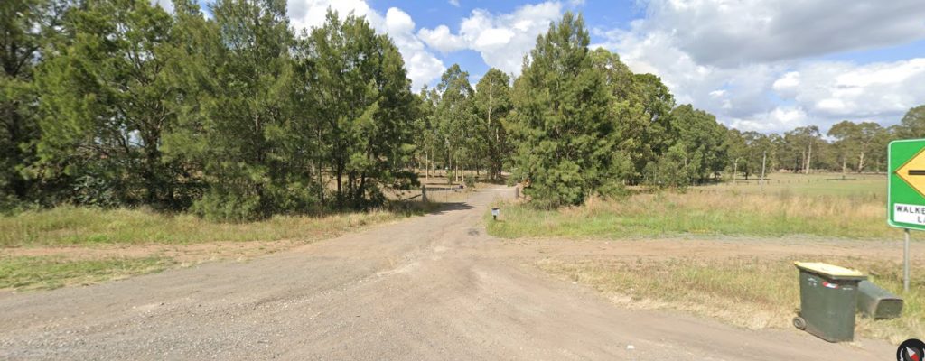 Hunter River Trees