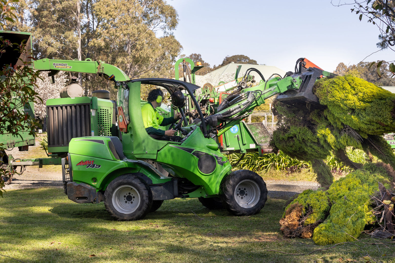 Hunter River Trees