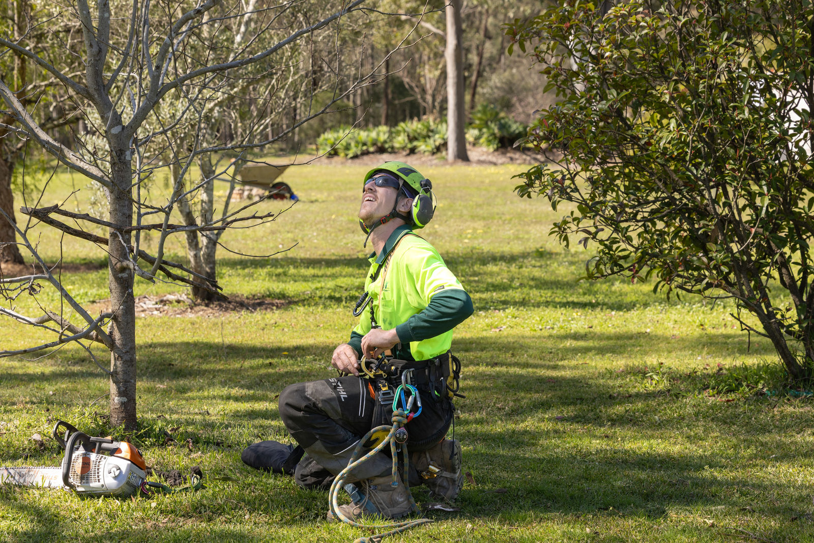 Hunter River Trees